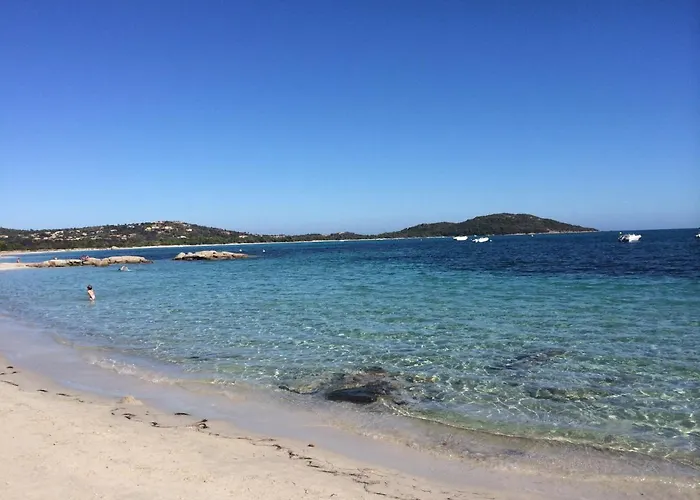 Liflosa Appartamento Lecci